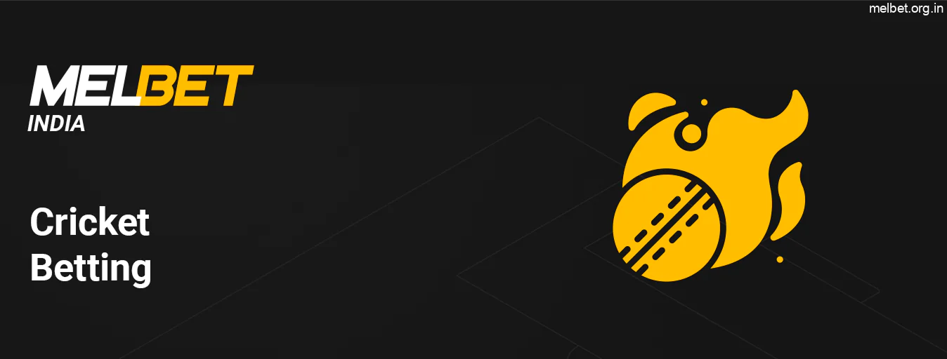 Melbet Indian Players Can Bet on All Main Cricket Tournaments